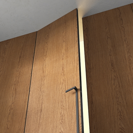 Planum Pro